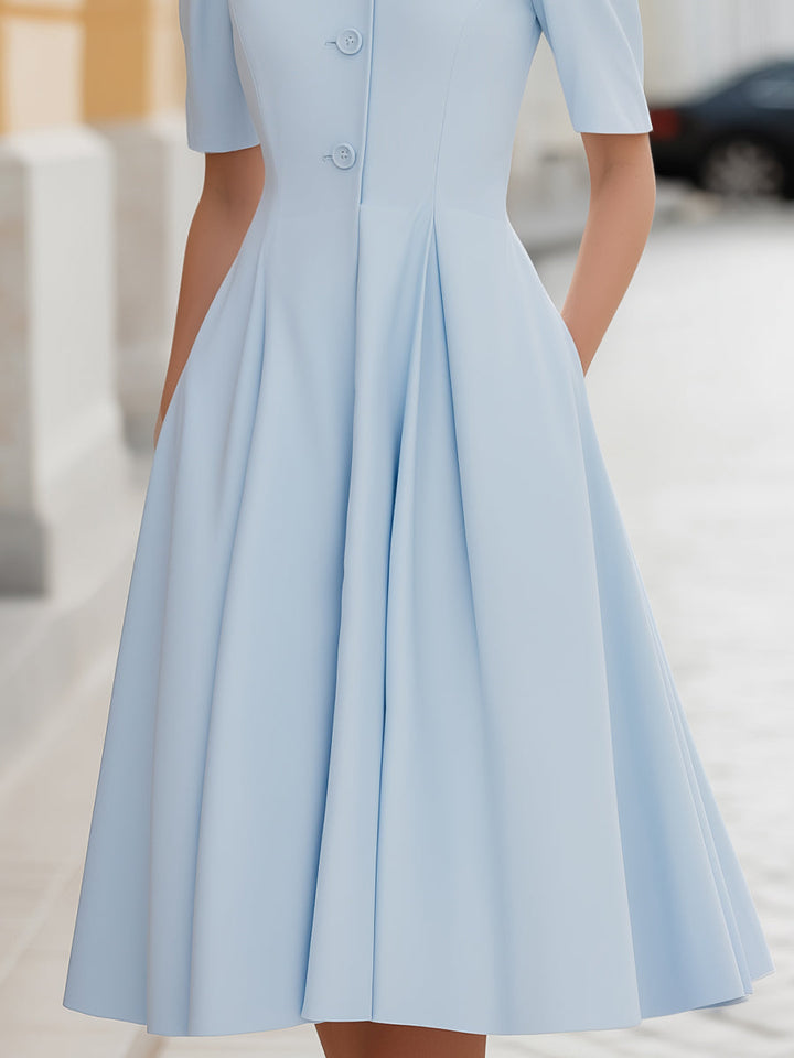 Muse & Valeur | Stand Collar Button-Front Pleated A-Line Midi Dress