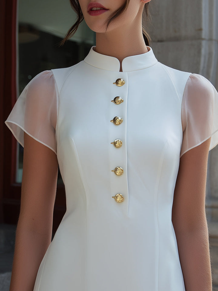 Muse & Valeur | Stand Collar Button-Front Sheer Sleeve Mini Dress