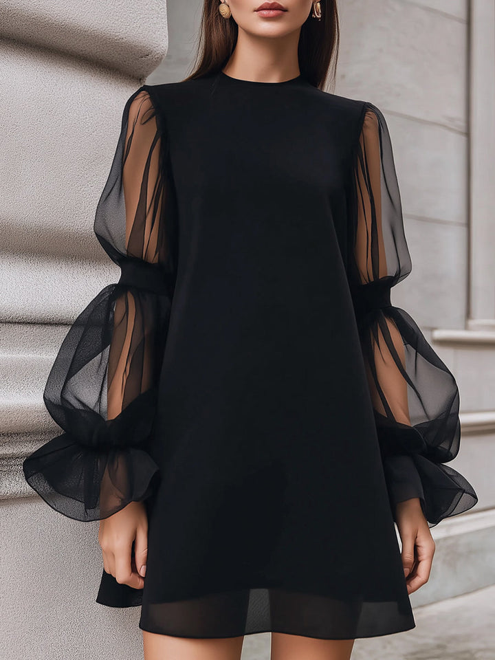 Muse & Valeur | Sheer Lantern Sleeve A-Line Mini Dress