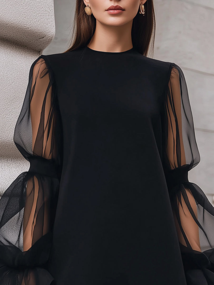 Muse & Valeur | Sheer Lantern Sleeve A-Line Mini Dress