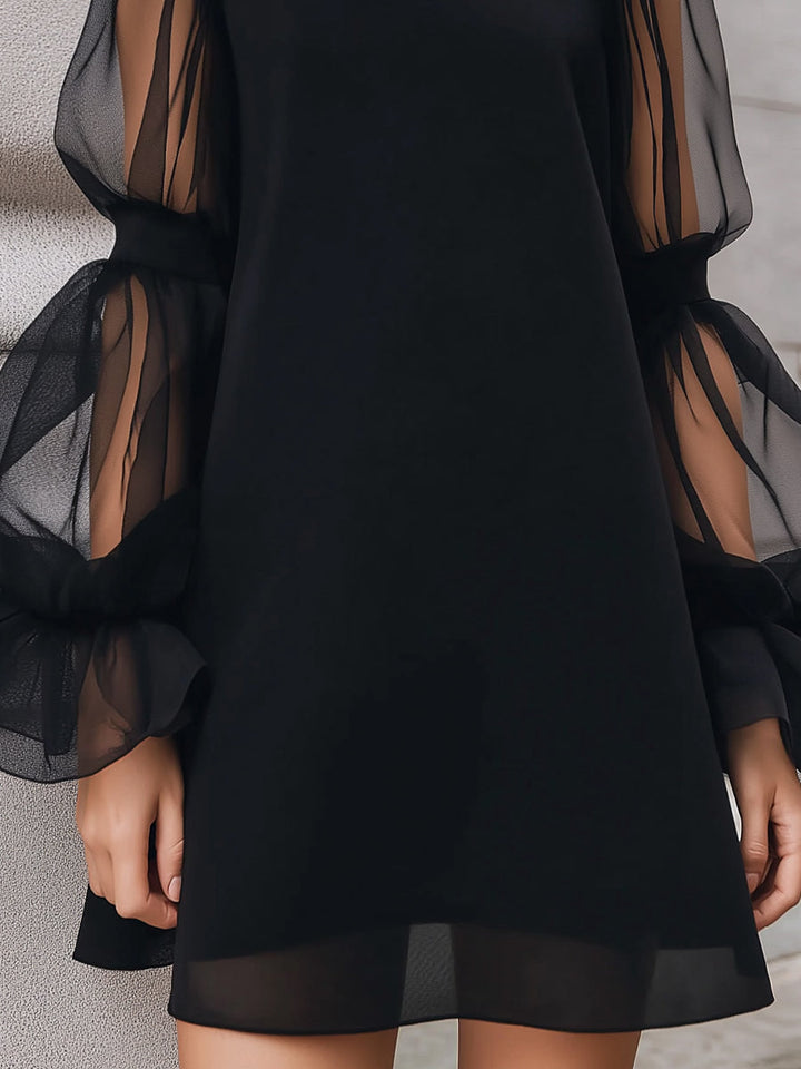 Muse & Valeur | Sheer Lantern Sleeve A-Line Mini Dress