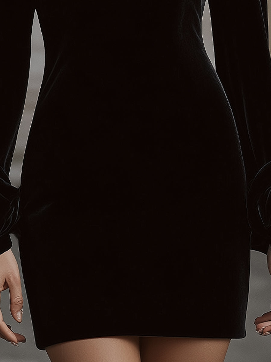 Muse & Valeur | Elegant Velvet Mini Dress With Embellished Neckline And Floral Cuff Detail