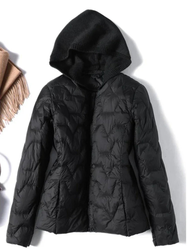 Muse and Valeur | Hooded Jacket