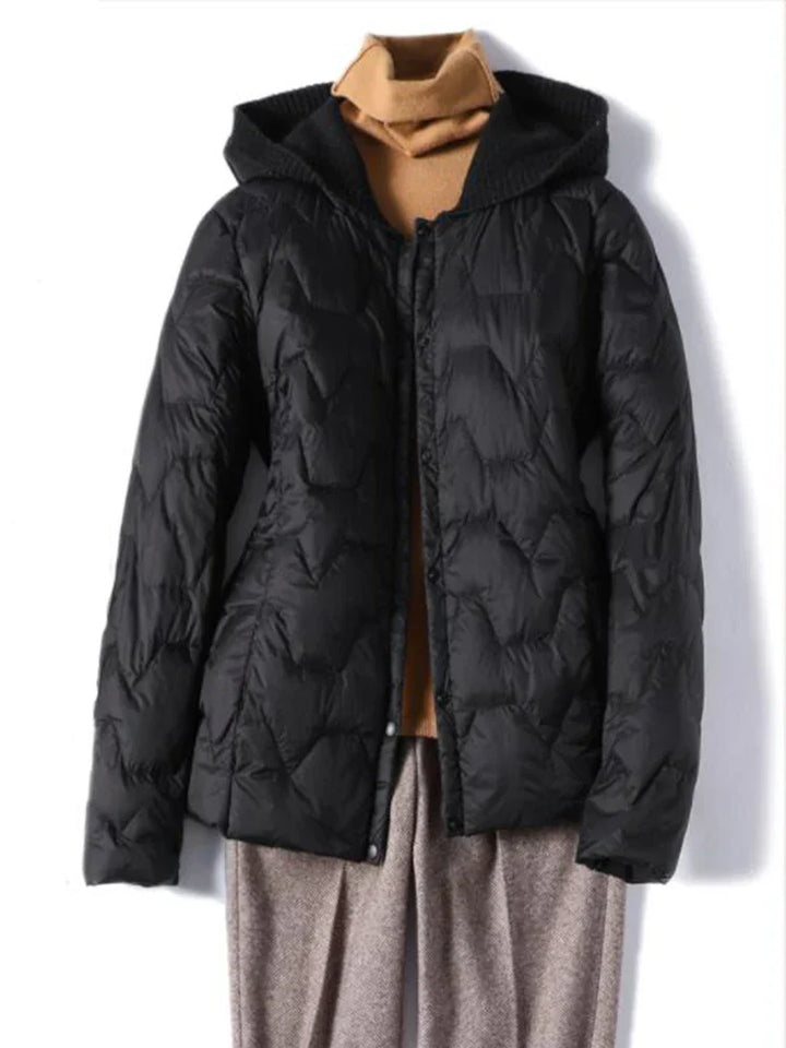 Muse and Valeur | Hooded Jacket