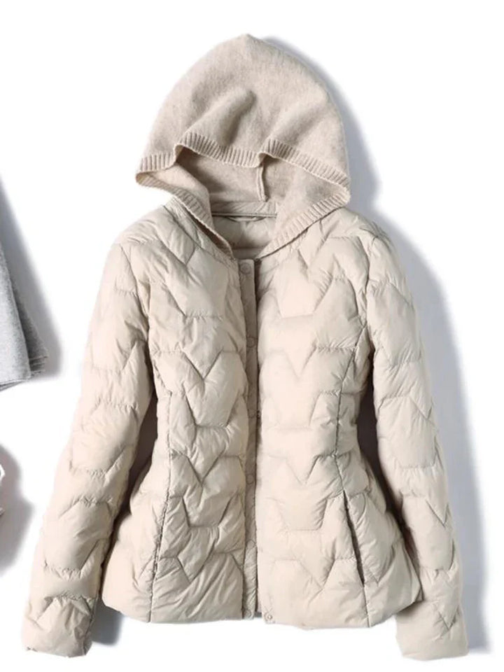 Muse and Valeur | Hooded Jacket